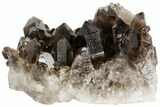 Dark Smoky Quartz Crystal Cluster - Brazil #79931-2